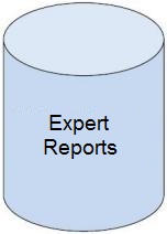 Expert Reports